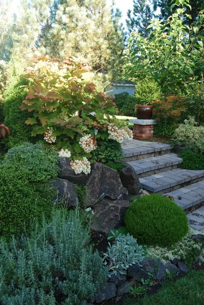 Eğimli bahçeler de xeriscape olabilir, tasarım yaparken arazi yapısını göz önünde bulundurup uygun bitkiler seçin.