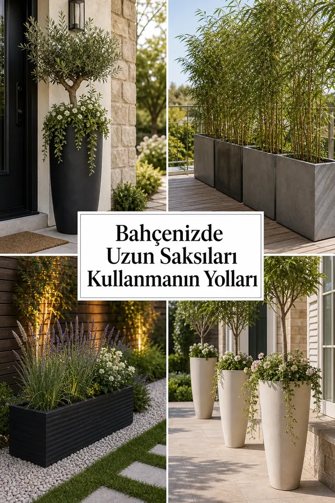 Bahçenizde Uzun Saksıları Kullanmanın Yolları