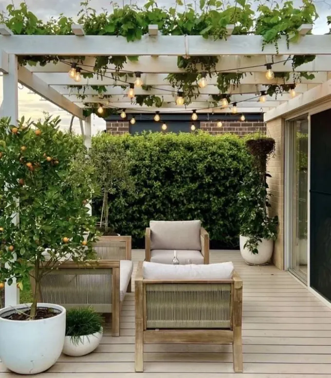 Bu pergola yeşillik ve ışıklarla kaplanmış, sıcak ve davetkar bir atmosfer yaratıyor.
