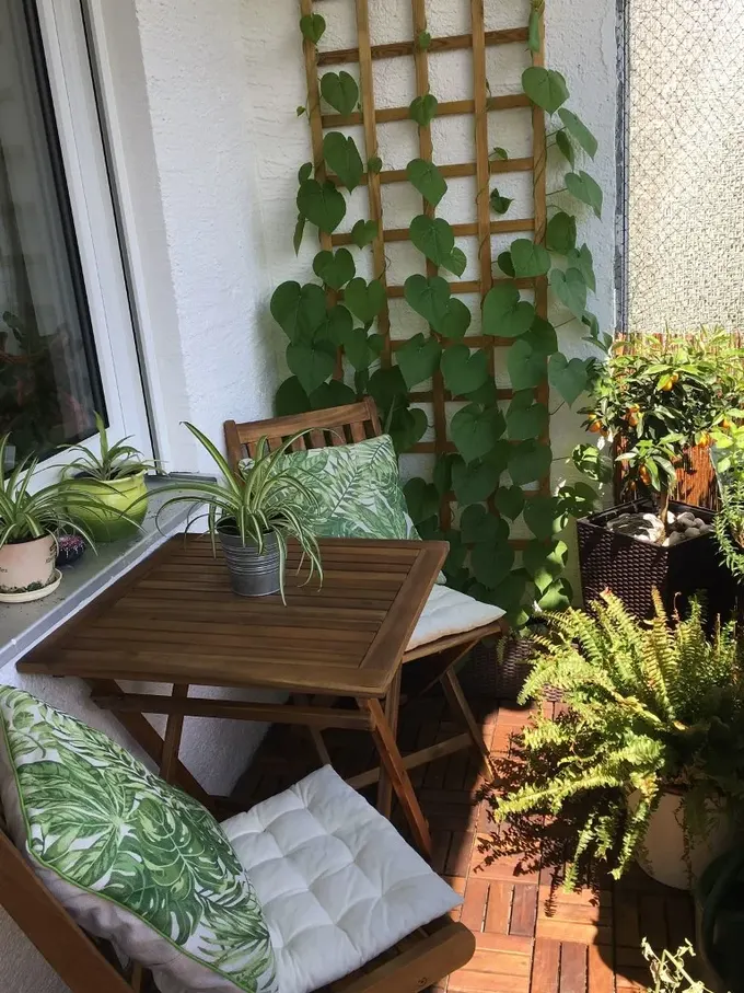 Balkon, bir kafes ve saksı bitkileriyle bahçe havası veriyor. Boyalı mobilyalar katlanabilir yapıda.