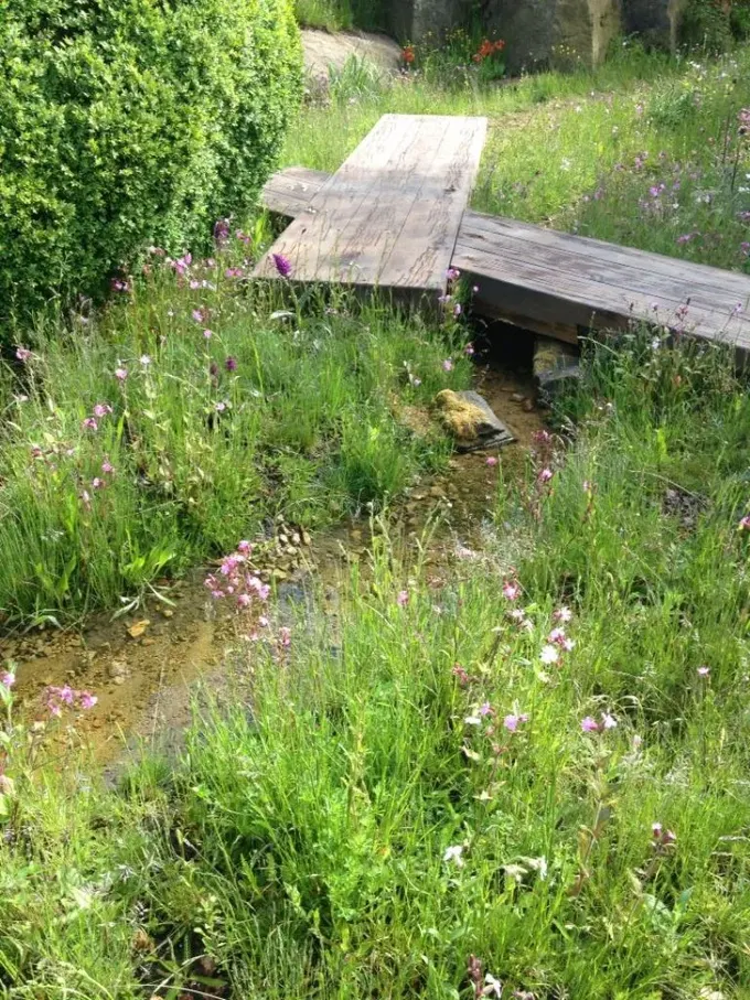 Bahçe, yeşillik ve pembe çiçeklerle düzenlenmiş, bir yağmur suyu göleti ve üzerinde köprü bulunuyor.